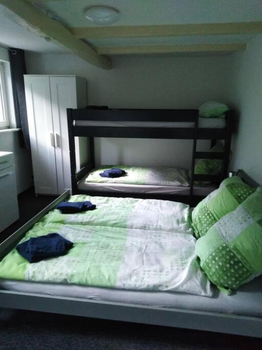 Wohnung Im Gruenen In اولسبرغ المظهر الخارجي الصورة